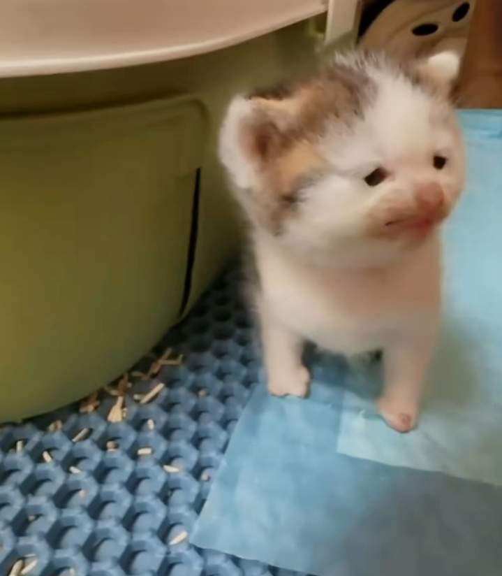 铁门一直锎