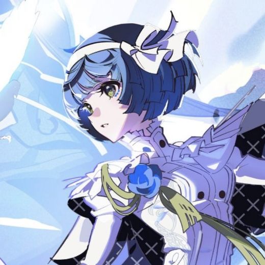 FLOW 存流