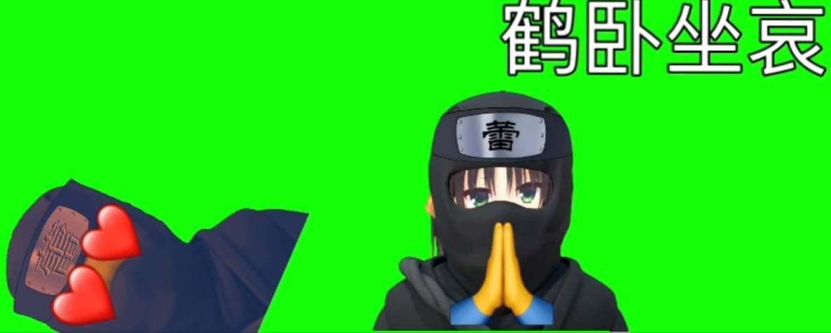 银忍大师