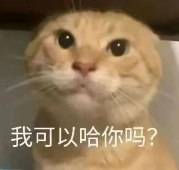 爱吃大蕾